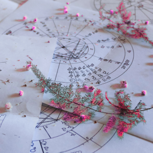 Astrology Chart Reading 1hr Zoom Session